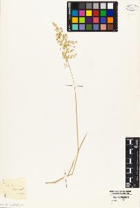 SW_BNB_s3010-04962_IMG-0000000001