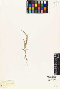 SW_BNB_s3010-04963_IMG-0000000001