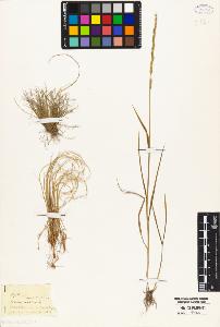 SW_BNB_s3010-04964_IMG-0000000001