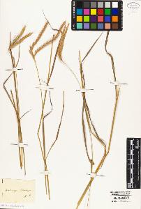 SW_BNB_s3010-04970_IMG-0000000001