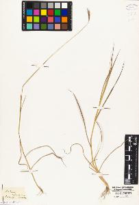 SW_BNB_s3010-04971_IMG-0000000001