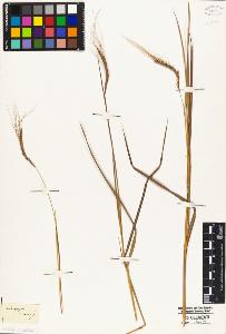 SW_BNB_s3010-04973_IMG-0000000001