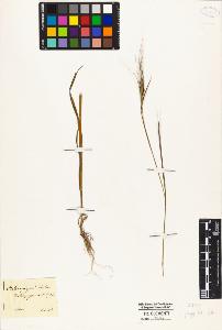 SW_BNB_s3010-04975_IMG-0000000001