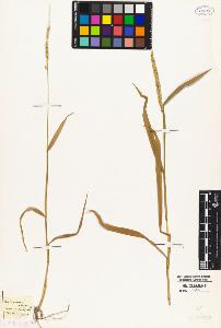 SW_BNB_s3010-04977_IMG-0000000001
