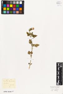 SW_BNB_s3010-04993_IMG-0000000001
