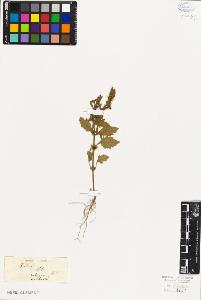 SW_BNB_s3010-05002_IMG-0000000001