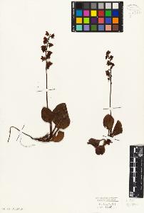 SW_BNB_s3010-05006_IMG-0000000001