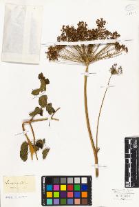 SW_BNB_s3010-05010_IMG-0000000001