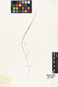 SW_BNB_s3010-05012_IMG-0000000001