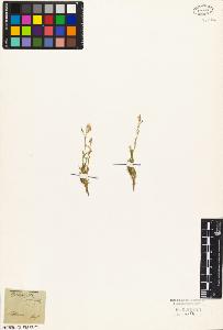 SW_BNB_s3010-05013_IMG-0000000001
