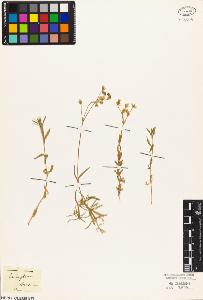 SW_BNB_s3010-05014_IMG-0000000001