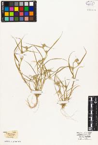 SW_BNB_s3010-05016_IMG-0000000001