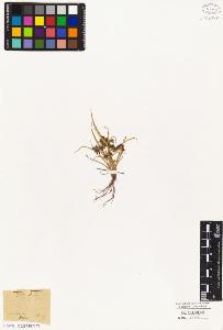 SW_BNB_s3010-05019_IMG-0000000001