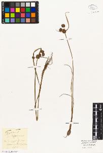 SW_BNB_s3010-05021_IMG-0000000001
