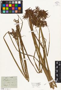 SW_BNB_s3010-05023_IMG-0000000001