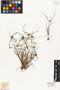 SW_BNB_s3010-05024_IMG-0000000001