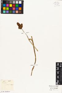 SW_BNB_s3010-05025_IMG-0000000001