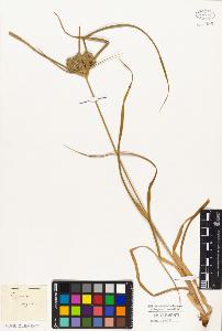 SW_BNB_s3010-05027_IMG-0000000001