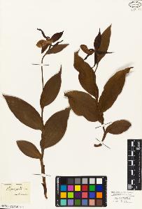 SW_BNB_s3010-05030_IMG-0000000001