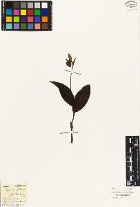 SW_BNB_s3010-05031_IMG-0000000001