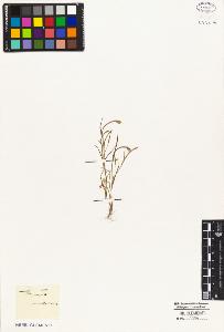 SW_BNB_s3010-05032_IMG-0000000001