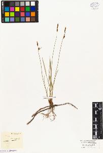 SW_BNB_s3010-05033_IMG-0000000001