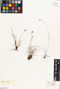 SW_BNB_s3010-05036_IMG-0000000001