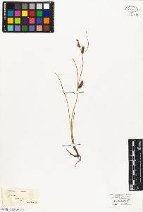 SW_BNB_s3010-05037_IMG-0000000001