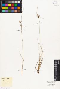 SW_BNB_s3010-05038_IMG-0000000001