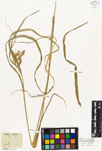 SW_BNB_s3010-05039_IMG-0000000001