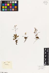SW_BNB_s3010-05040_IMG-0000000001