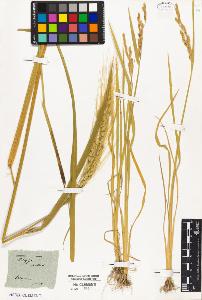 SW_BNB_s3010-05043_IMG-0000000001