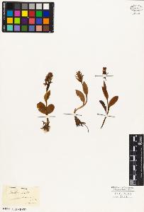 SW_BNB_s3010-05044_IMG-0000000001