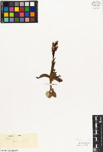 SW_BNB_s3010-05046_IMG-0000000001