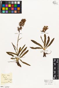 SW_BNB_s3010-05047_IMG-0000000001