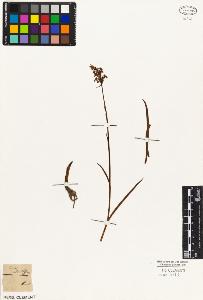SW_BNB_s3010-05051_IMG-0000000001