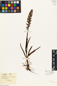 SW_BNB_s3010-05055_IMG-0000000001