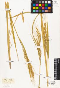 SW_BNB_s3010-05056_IMG-0000000001
