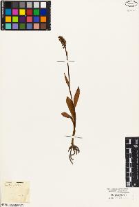 SW_BNB_s3010-05057_IMG-0000000001