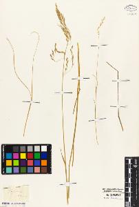 SW_BNB_s3010-05062_IMG-0000000001