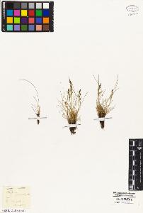 SW_BNB_s3010-05063_IMG-0000000001