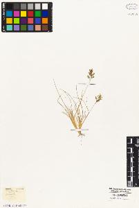 SW_BNB_s3010-05064_IMG-0000000001