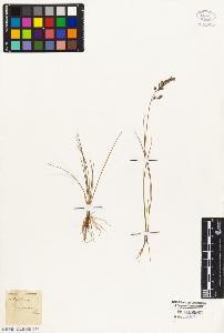 SW_BNB_s3010-05065_IMG-0000000001