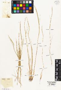 SW_BNB_s3010-05067_IMG-0000000001