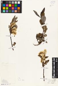 SW_BNB_s3010-05068_IMG-0000000001
