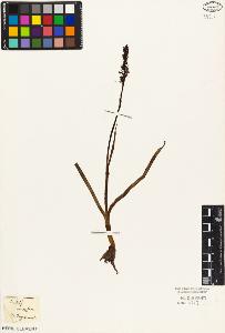 SW_BNB_s3010-05069_IMG-0000000001