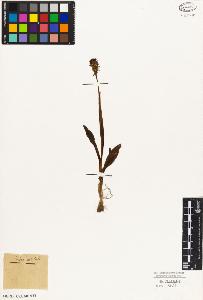 SW_BNB_s3010-05072_IMG-0000000001