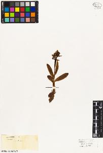 SW_BNB_s3010-05073_IMG-0000000001
