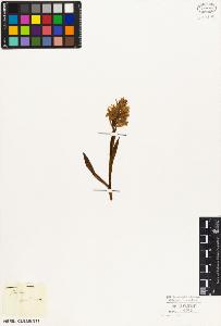 SW_BNB_s3010-05075_IMG-0000000001