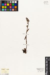 SW_BNB_s3010-05077_IMG-0000000001